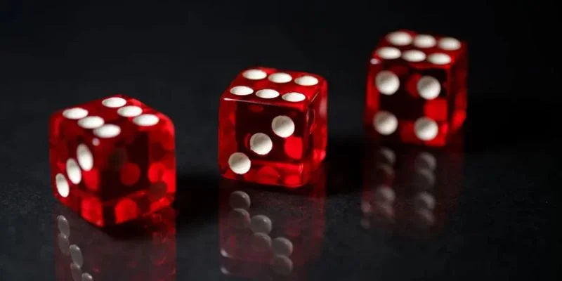 Tìm hiểu đặc điểm của hột tài xỉu